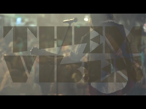 Them Vibes LIVE at Live on the Green 2019