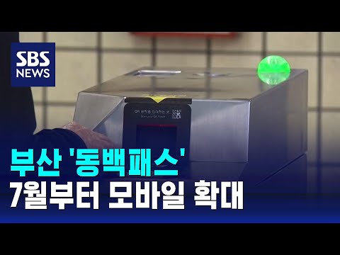 동백패스 모바일 이용 썸네일