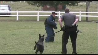 preview picture of video 'K9 Demonstration'