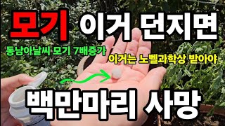 모기! 이거를 던지면 초토화 됩니다 몆십만마리 바로사망!  #모기퇴치 #모기유충퇴치 #모기 #모기알퇴치약 #…