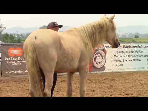 MUSTANG MAKEOVER 2018 Team Janell (TAG 4246) - Update 3