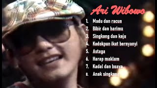 Download lagu Lagu HITS Ari Wibowo mp3