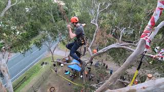 Download lagu 🌳 Elevate Your Skills: QAA Practice Climb 2021 - Exclusive Promo 🌳 mp3