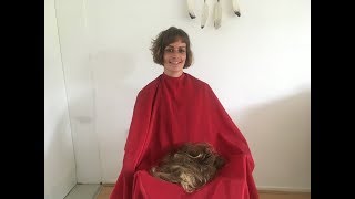 A graduated bob with bangs and undercut