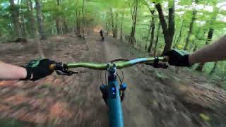 Steele Creek Park | Hickory Ridge