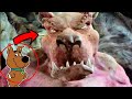 MONSTER TRANSFORMATION SCOOBY DOO MOVIE TRANSFORMATION MONSTER ATTACK SCOOBY DOO CARTOON