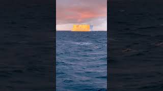 Antarctica sunsets just hit differently! #antarctica #sunset #shorts #eatsleepcruise