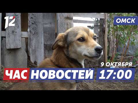20 собак против целого посёлка / Гадалка отправилась в колонию / 35 лет оркестру. Новости Омска
