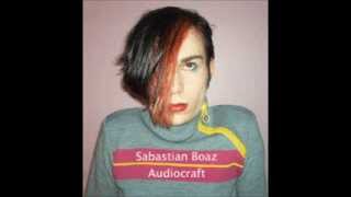 SABASTIAN BOAZ // I LOVE YOU CIRCUIT BURGLARS