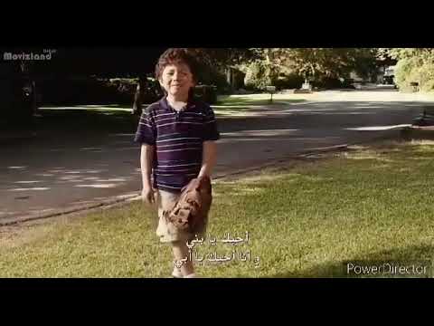 Click (2006) Michael Newman and Kevin O'Doyle, his robot dog crushed to pieces with awesomeness.