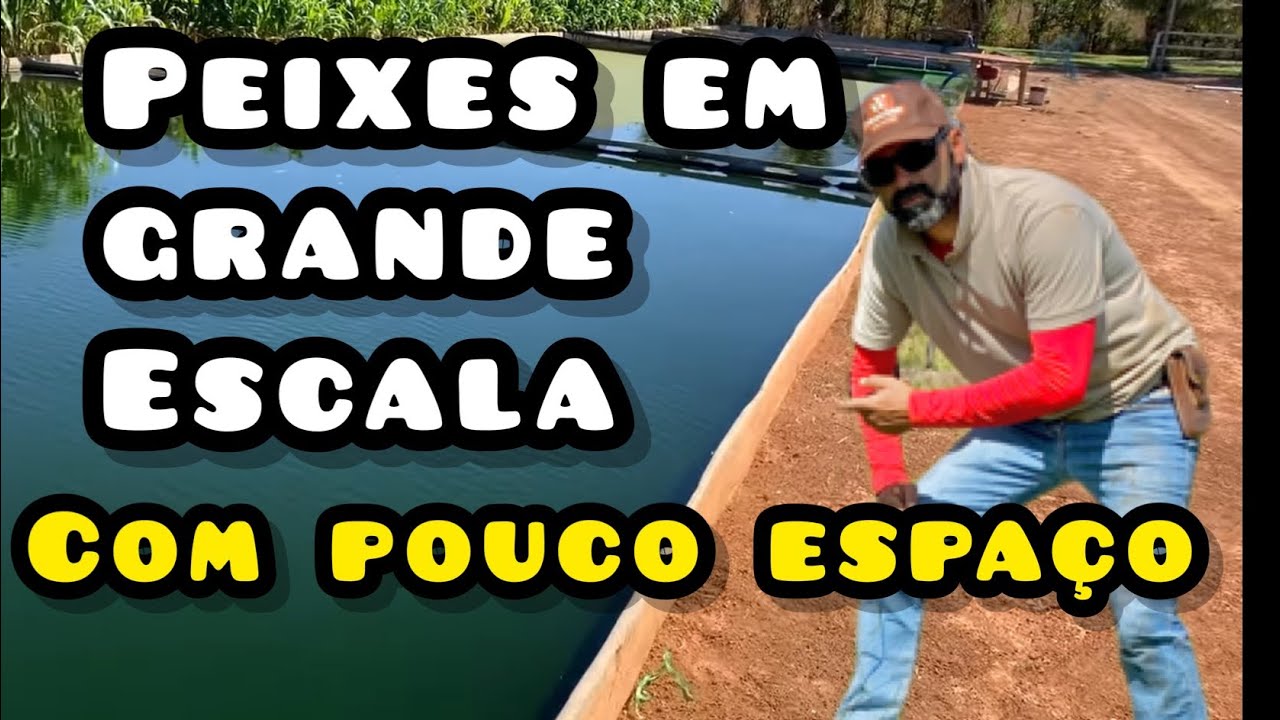 A PODEROSA TÉCNICA DE PRODUZIR MUITO PEIXE EM PEQUENO ESPAÇO | 1.200 KG DE TILÁPIA POR MÊS.