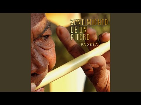 Sentimiento de un pitero