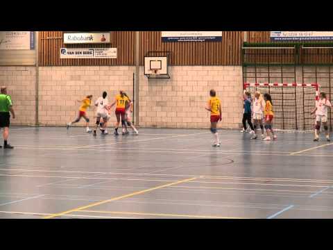 Westfriezen Handbal Dames 1 tegen DTS jan 2014