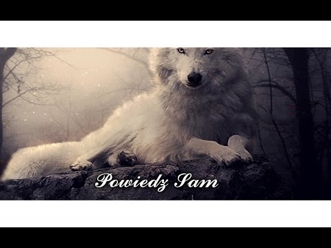 donGuralesko x Nie jeden z Wielu - Powiedz Sam (Wittigo Blend)