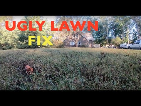 First step to fix an UGLY LAWN // Project Lawn Ep.1