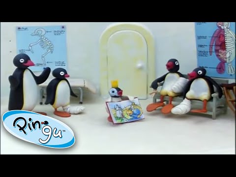 Pingu And His Family Learn About The World! @Pingu 1 Hour | Cartoon For Kids - Kids (0-4), Kingdom Kids Zone - Pingu - Official Channel