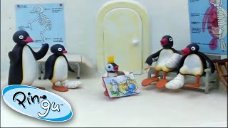 Pingu And His Family Learn About The World! @Pingu 1 Hour | Cartoon For Kids