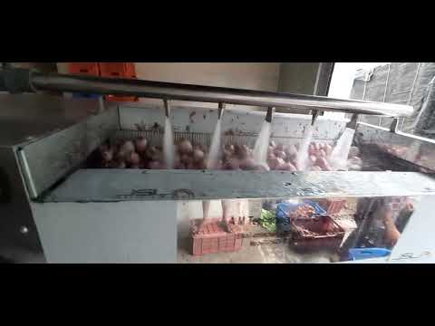 Vegetable Washer & Peeler