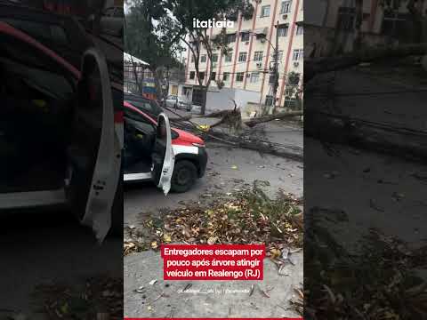 ENTREGADORES ESCAPAM POR POUCO DE ACIDENTE COM ÁRVORE EM REALENGO, NO RIO