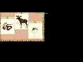 Bandicam 2024 01 26 12 38 51 009