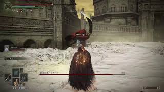 エルデンリングDLCをやる年単位ぶりの魔法剣士part7