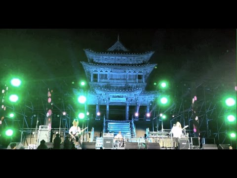 Mr.Pollack 2014 China Tour Flight of the Bumble Bee Lot Trzmiela