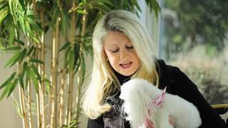Pet Services in Wilmington NC, details at YellowPages.com
