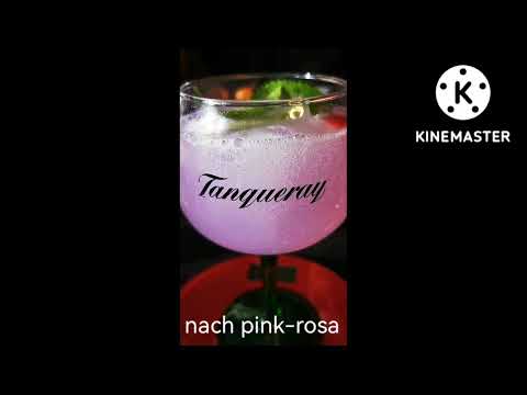 Gin Magic - The Illusionist