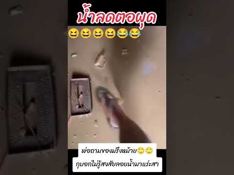 ของแดน8แน่ๆ,หาไม่เจอเลยหัวเสีย😁