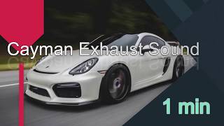 987,981,718 Cayman sports exhaust sound 3 ケイマンマフラーサウンド第3弾！