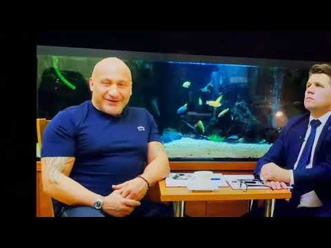 NAJMAN and BURMISTRZ WIELUNIA