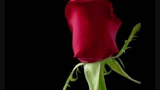 CARLOS VIVES Santa Elegia.flv