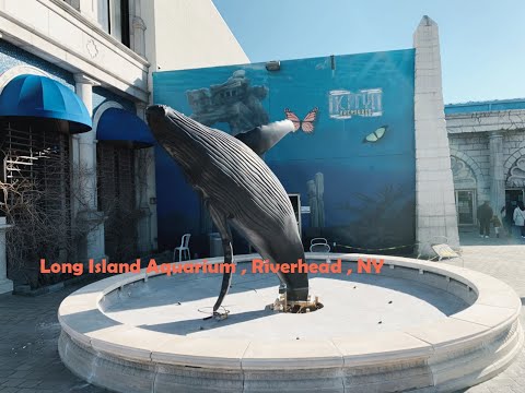 image-What time does the Long Island Aquarium open?
