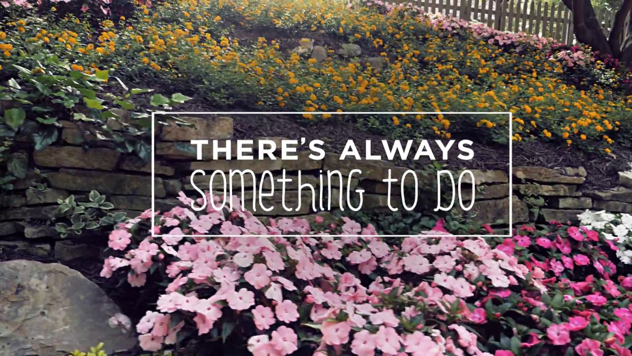 Unwind at Busch Gardens Williamsburg & Water Country USA