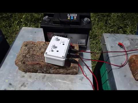 Bee Venom Collecting BEE VEE How To Prepare