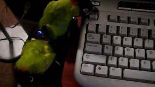 NOT THE CAPS LOCK!!!