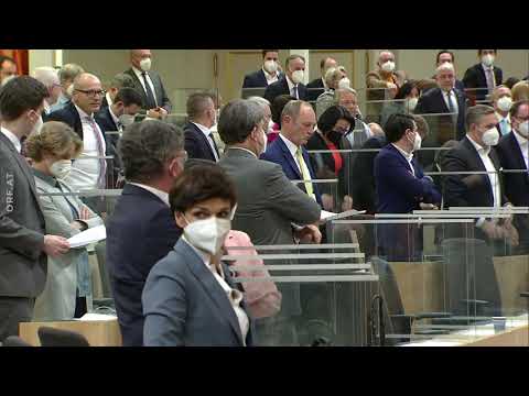 FernG'schaut am 24.02.2021 - ORF - Nationalrat Abstimmung 0865043549