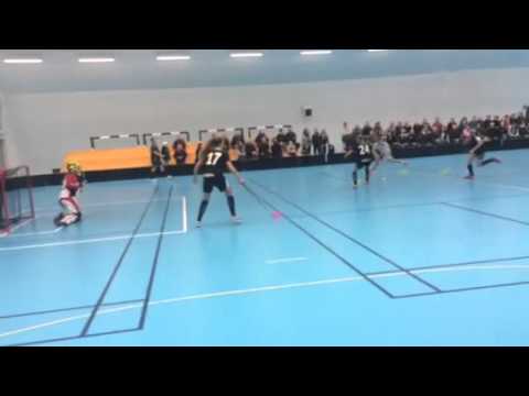 Målvaktscoach Täby FC f01 innebandy