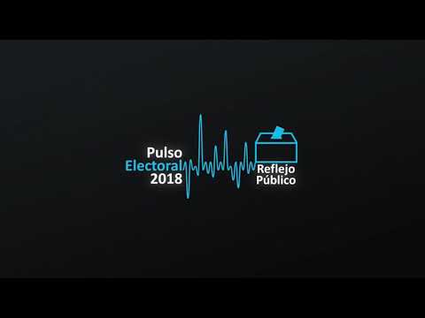 Puedes usar tu propio marcador en la boleta electoral - Pulso Electoral