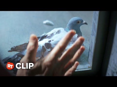 Inside Movie Clip - Us Pigeons (2023)