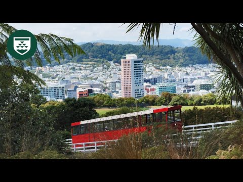 Living and Studying in Wellington