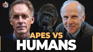 Primatologist Explains The 1% Difference Between Humans & Apes | Richard Wrangham & Jordan Peterson