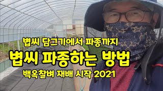 볍씨 파종 육묘장 관리 파종하는 방법 [벼재배방법]