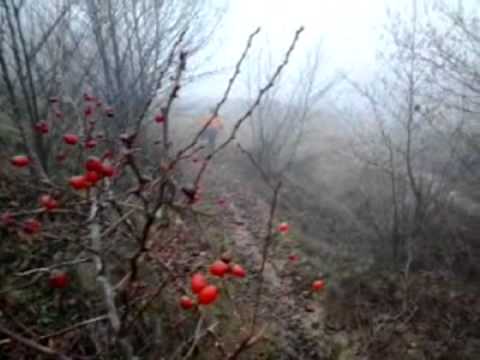 Freeride Suciu de jos