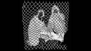 Clipping + The Doppelgangaz - Summertime / Reign Dance (feat.  King T)