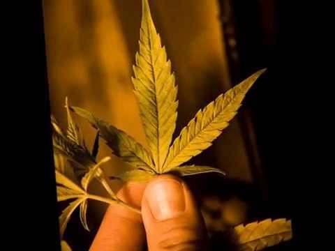 The Pyramid - Trevor The Trashman