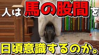 【めっちゃカメレオン】擬態か、迷彩か、世間体か、すべてを使って鬼から隠れきるゲームwwwww【ゆっくり実況/草の人】
