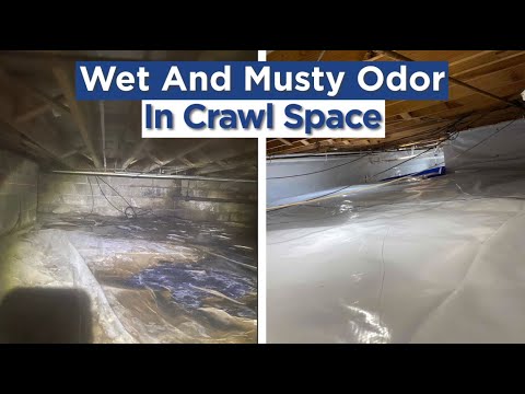 Wet Crawl Space and Musty Odor in Evansville, IN