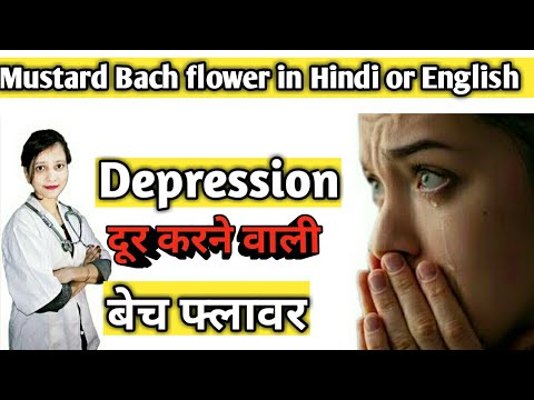 Mustard Bach flower remedy  Mustard flower remedy! Bach flower Mustard! Bach flower @DrNosheenAli