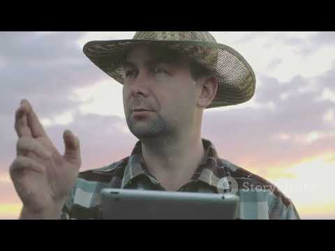 Revolutionizing Cattle Farming Modern